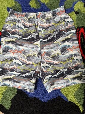 Kids Swim Trunks (NWOT)